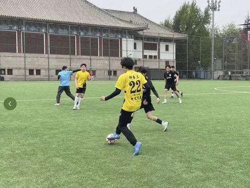 瓜在体育圈是什么意思,揭秘体育界的神秘“瓜”文化