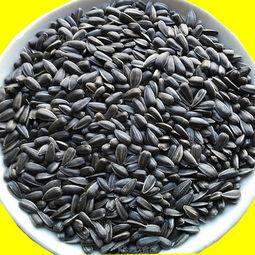 实时黑料曝光 热门大瓜子,实时黑料曝光背后的真相