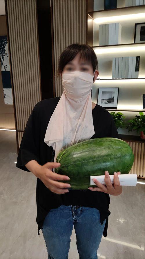 网红大瓜博雅吃瓜视频最全观看