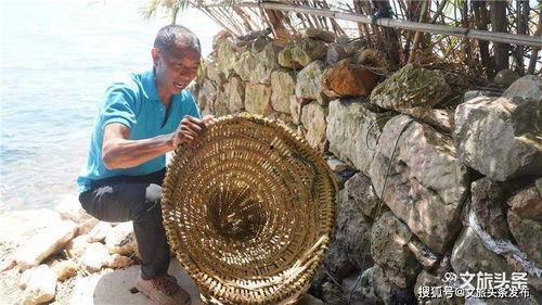 黑料网永久免费网站直接进入网页 网红黑料牛奶秋刀鱼